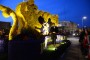 Thumbs/tn_Bloemencorso 2015 183.jpg